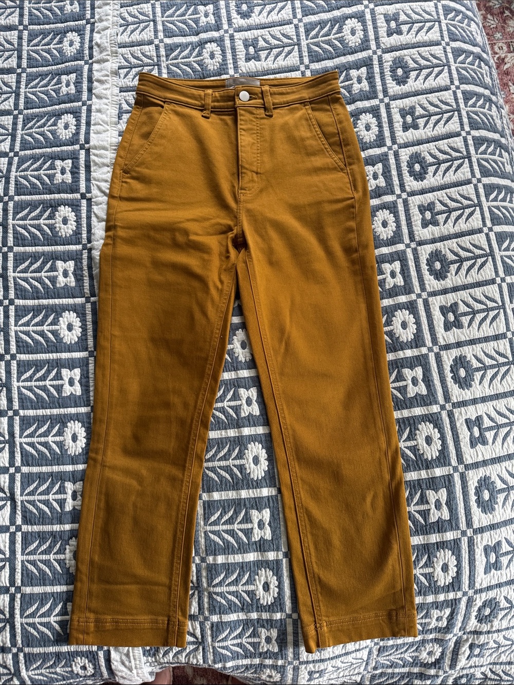 Everlane The Slim Leg Crop Pants in Brass